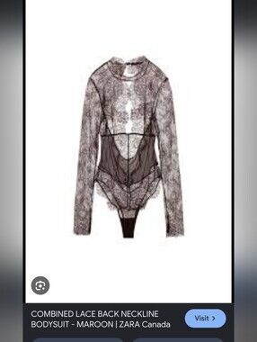 Zara Brown Sheer Lace Long-Sleeve Bodysuit
